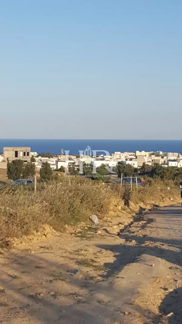 terrain a hammamet nord