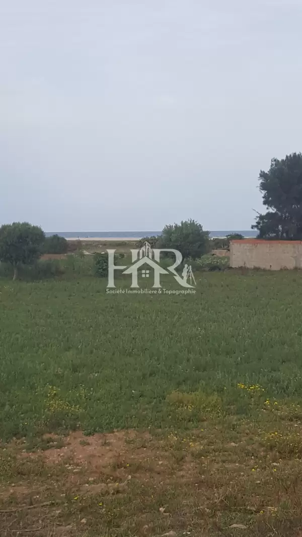 terrain a dharoufa maamoura