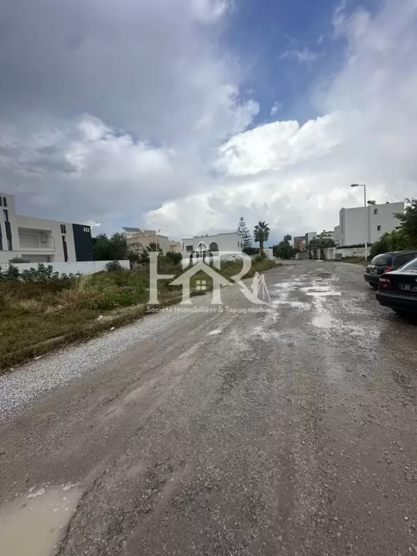 terrain a yasmine hammamet