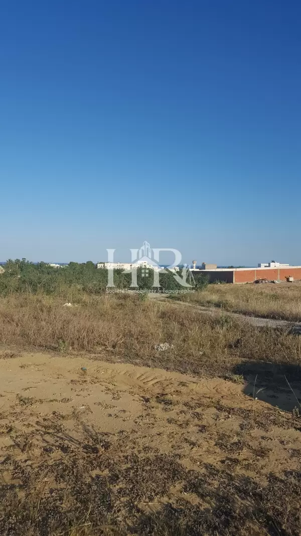 terrain a hammamet nord