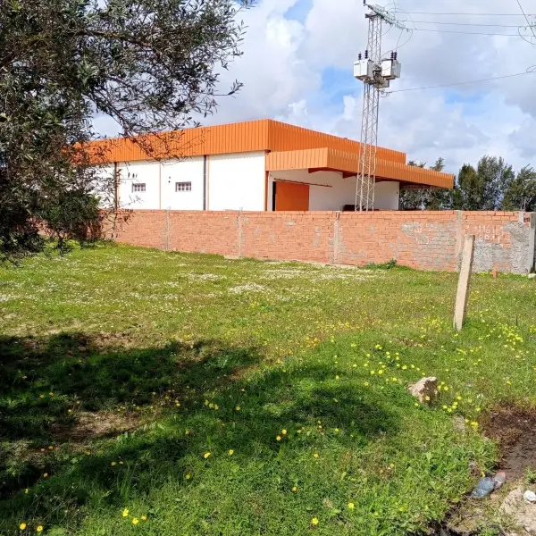 Terrain constructible commercial à vendre sur route principale Halfa _ béni khaled
