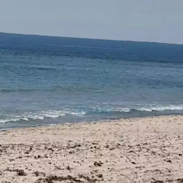Terrain constructible à vendre pieds dans l'eau à jinnen béni khiar plage